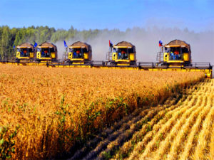Россия наладит поставки зерна в Африку и Китай