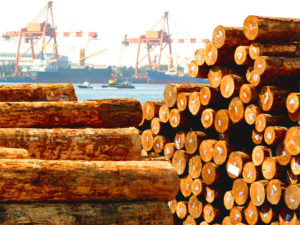 Таможенную пошлину на древесину могут снизить до 6,5%