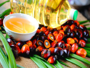Импорт пальмового масла в Россию увеличился