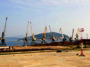 Контейнеры из Пусана начнут оформлять в порту «Зарубино»